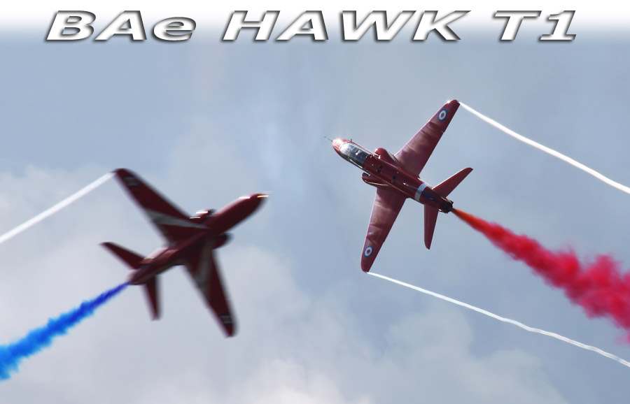 Hawk