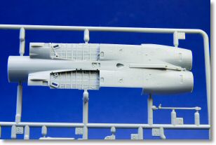 hornet_academy_40.jpg