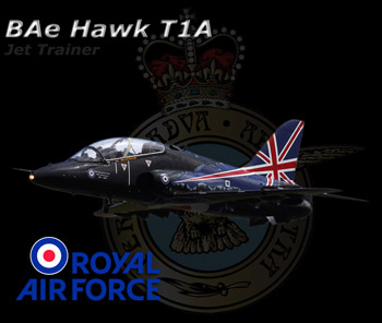 Hawk