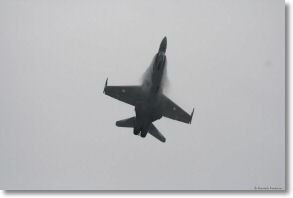 IMG_3495.jpg