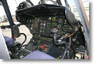 IMG_7938.JPG