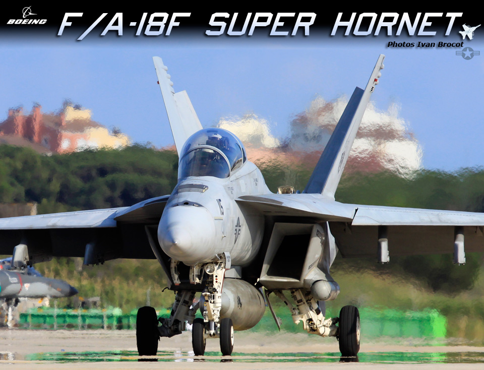 F/A-18F