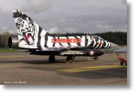 2000tigre_photo_eric_barelli01.jpg