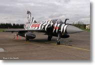 2000tigre_photo_eric_barelli02.jpg