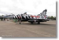 2000tigre_photo_eric_barelli03.jpg