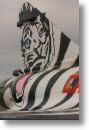 2000tigre_photo_eric_barelli04.jpg