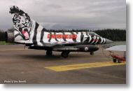 2000tigre_photo_eric_barelli07.jpg