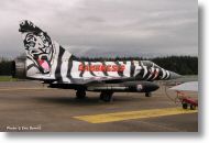 2000tigre_photo_eric_barelli08.jpg