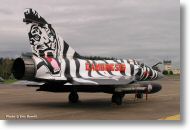 2000tigre_photo_eric_barelli09.jpg