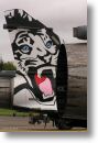 2000tigre_photo_eric_barelli10.jpg