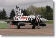 2000tigre_photo_eric_barelli11.jpg