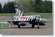 2000tigre_photo_eric_barelli12.jpg