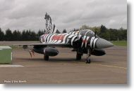 2000tigre_photo_eric_barelli13.jpg