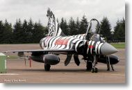 2000tigre_photo_eric_barelli14.jpg