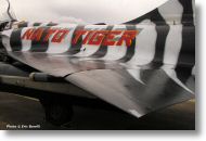 2000tigre_photo_eric_barelli15.jpg