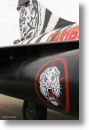2000tigre_photo_eric_barelli17.jpg