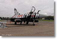 2000tigre_photo_eric_barelli19.jpg