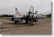 2000tigre_photo_eric_barelli20.jpg