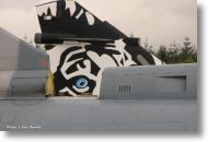 2000tigre_photo_eric_barelli22.jpg