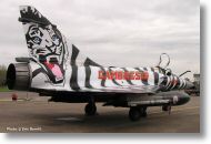 2000tigre_photo_eric_barelli23.jpg
