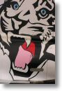 2000tigre_photo_eric_barelli26.jpg