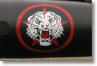 2000tigre_photo_eric_barelli29.jpg