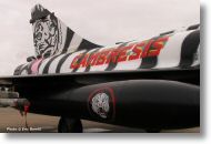2000tigre_photo_eric_barelli32.jpg