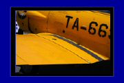 IMG_6568.JPG