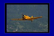 IMG_6767U.jpg