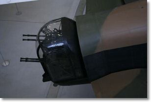 IMG_8460.jpg