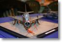 IMG_7893.JPG
