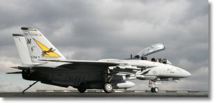 F14_Tomcat_4.jpg