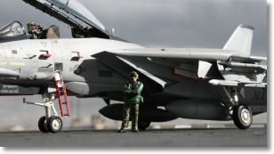 F14_Tomcat_9.jpg