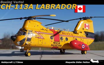 CH113