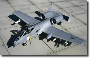a-10_2.jpg