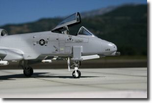 a-10_6.jpg