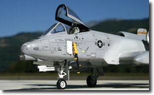 a-10.jpg