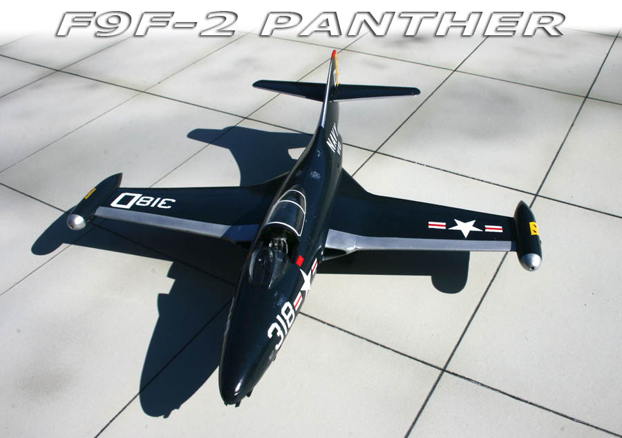 panther