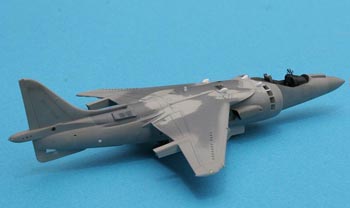 Harrier