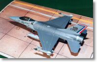 F16A+_04.jpg