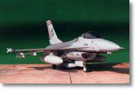 F16A+_05.jpg